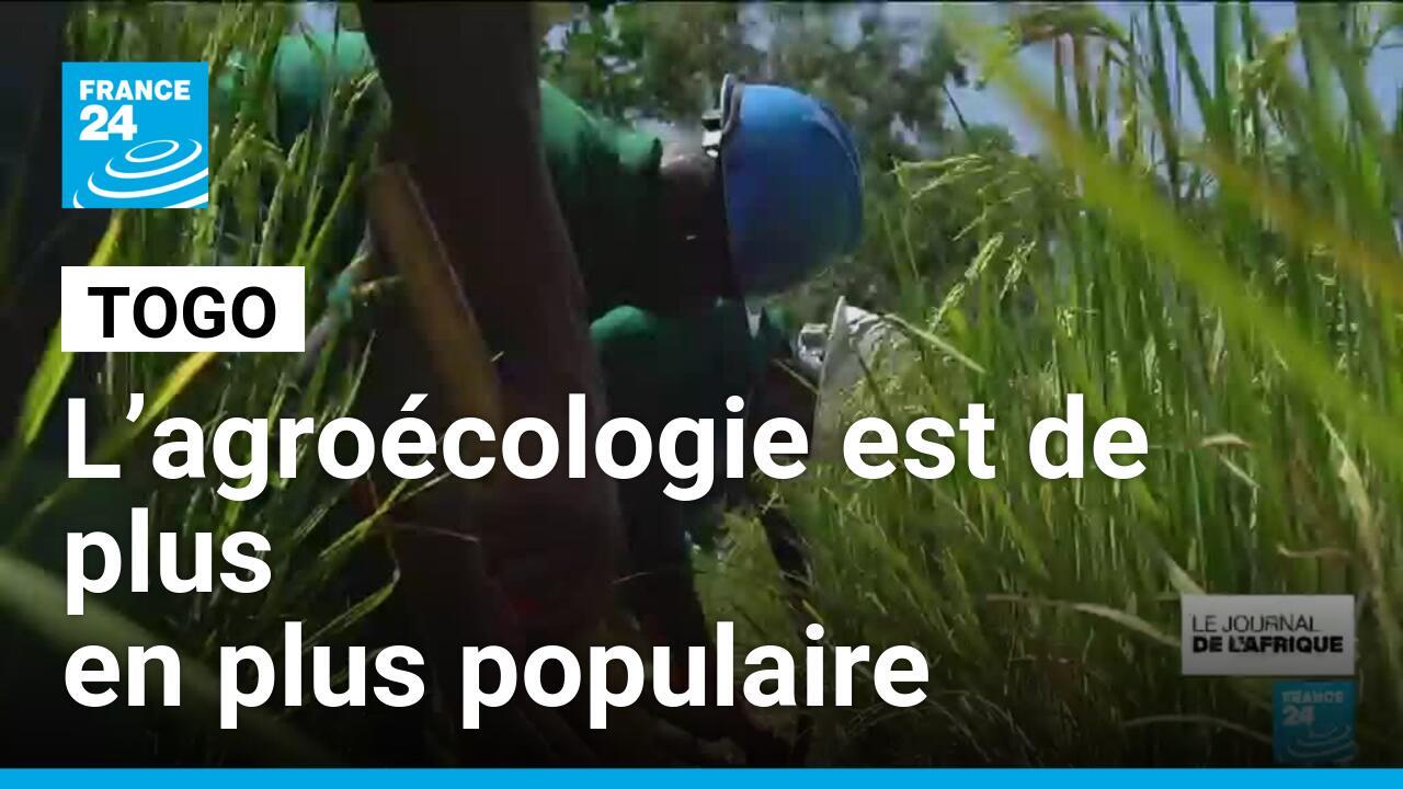Togo l'apprentissage à l'agroécologie devient populaire France 24